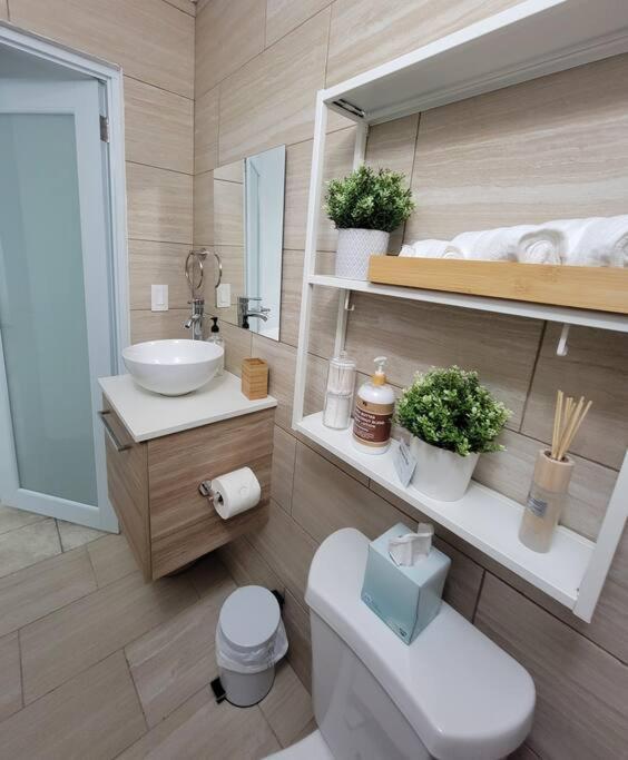 L & R Studio Mayaguez Ngoại thất bức ảnh